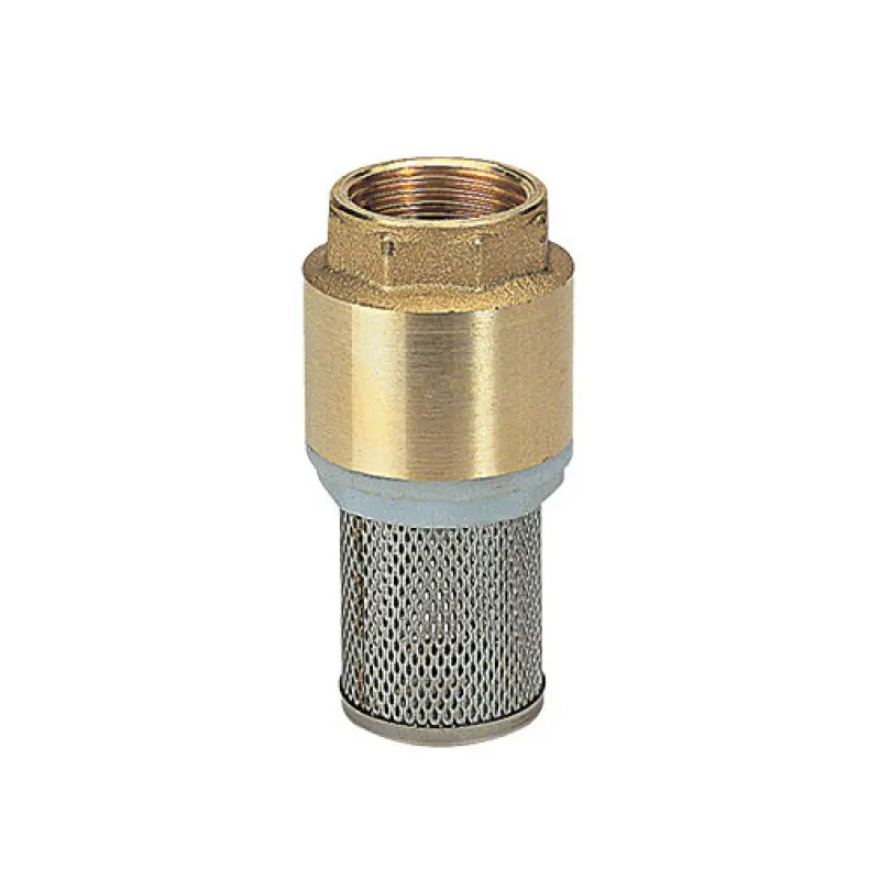 Válvula retenção pesca 2" com filtro inox Válvula retenção pesca 2" com filtro inox